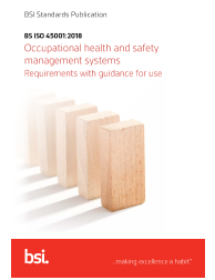 BS ISO 45001:2018