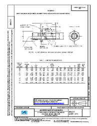SAE AS 4217:2015-04-17
