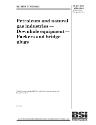 BS EN ISO 14310:2002