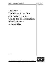 DD CEN/TS 14906:2004