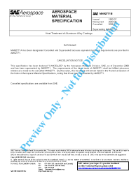 SAE MAM 2771B:2008-12-15