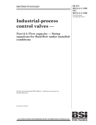 BS EN 60534-2-1:1999