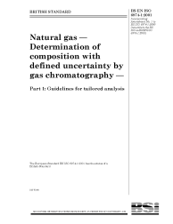 BS EN ISO 6974-1:2001