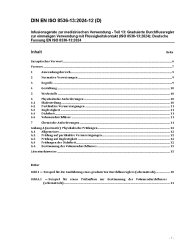 DIN EN ISO 8536-13:2024-12
