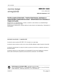 NBN EN 13583:2001