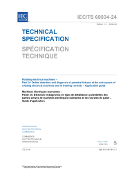 IEC TS 60034-24:2009