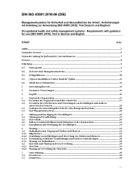 DIN ISO 45001:2018-06