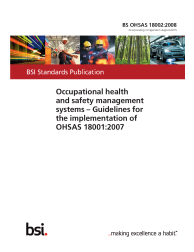 BS OHSAS 18002:2008