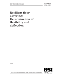 BS EN ISO 24344:2012