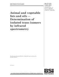 BS EN ISO 13884:2005