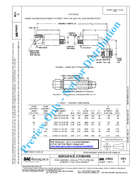 SAE AS 623C:2013-01-09