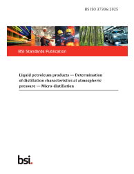 BS ISO 37306:2025