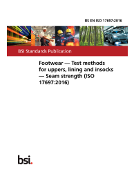 BS EN ISO 17697:2016