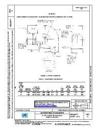 SAE AS 4669C:2017-08-18