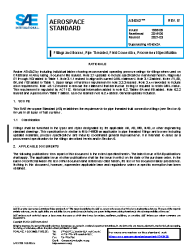 SAE AS 4842B:2021-03-08