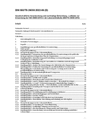 DIN ISO/TS 26030:2022-06