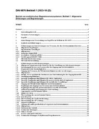 DIN 6876 Beiblatt 1:2023-10