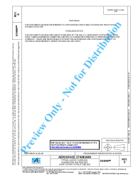 SAE AS 4696B:2017-07-07