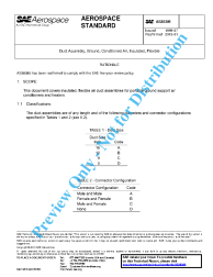 SAE AS 38386:2013-01-07