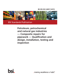 BS EN ISO 24817:2015