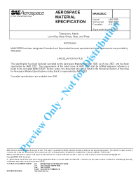 SAE MAM 2252C:2007-07-13