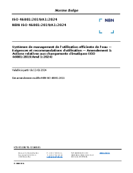NBN ISO 46001:2019/A1:2024