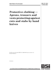 BS EN ISO 13998:2003