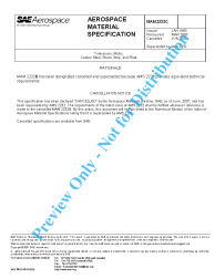SAE MAM 2232C:2007-06-18