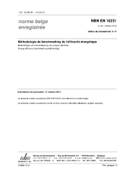 NBN EN 16231:2012