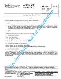 SAE AS 5355B:2013-01-07