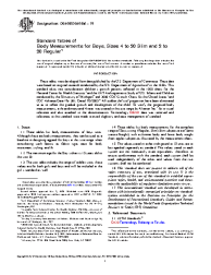 ASTM D6458/D6458M-19