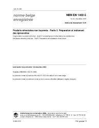 NBN EN 1402-5:2003
