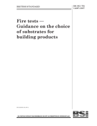 BS ISO/TR 14697:1997