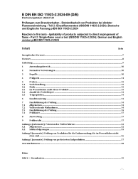 DIN EN ISO 11925-2:2024-09