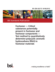 PD CEN ISO/TS 16190:2013